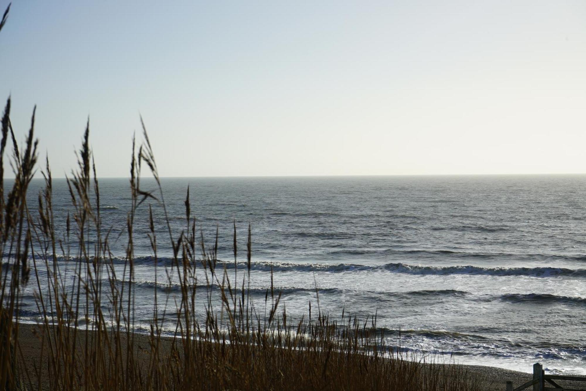Golden Acre Jurassic Coastal Lodges ,Eype Bridport Luaran gambar